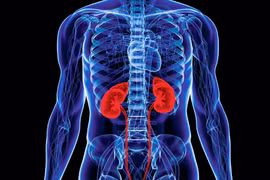 Lưu ý 3 vị trí đau cảnh báo bệnh thận 