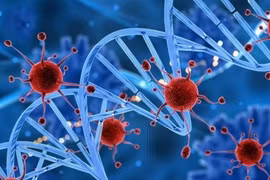 6 loại ung thư thường mắc ở nam giới 