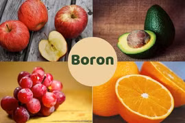 Những dưỡng chất cần thiết giúp nam giới tăng cường sinh lý, kéo dài tuổi thọ