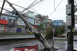 Hình ảnh tan hoang khi bão số 3 Yagi đổ bộ Quảng Ninh