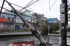 Hình ảnh tan hoang khi bão số 3 Yagi đổ bộ Quảng Ninh