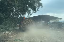 Xưởng chế biến dăm gỗ trái phép “thi gan” cùng chính quyền