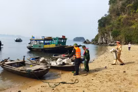 Ra quân tổng dọn, thu gom rác thải trên Vịnh Hạ Long