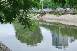 Mực nước sông Tô Lịch đang dần dâng cao, đổi màu 