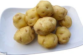 Loại khoai tây đắt nhất thế giới, giá lên tới hơn chục triệu mỗi cân