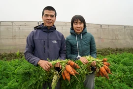 Trồng thứ rau rẻ tiền, vợ chồng tiến sĩ bỏ việc về quê gây bất ngờ lớn