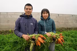 Trồng thứ rau rẻ tiền, vợ chồng tiến sĩ bỏ việc về quê gây bất ngờ lớn