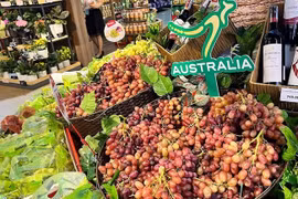 Hoa quả Úc dội chợ Việt với giá siêu rẻ