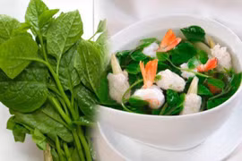 Mùa hè ăn rau mùng tơi thế này chẳng khác nào "thuốc độc"