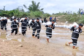 Ảnh: Hàng trăm cảnh sát cơ động giúp dân vá đê