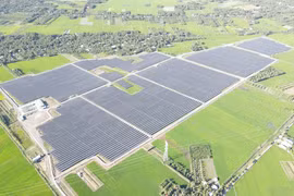 Bamboo Capital báo lãi 9 tháng đạt 885 tỷ đồng