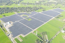 Bamboo Capital báo lãi 9 tháng đạt 885 tỷ đồng