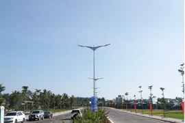 Bình Định: Hai người bỏ cọc 4,2 tỉ đồng sau khi trúng đấu giá 13 lô đất