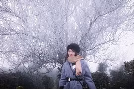 Dân phượt nô nức lên đỉnh Tà Xùa ngắm băng tuyết vui như trẩy hội