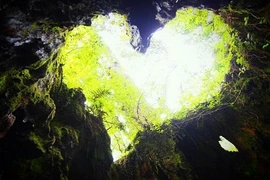 Hang động hình trái tim trong rừng già hớp hồn dân phượt