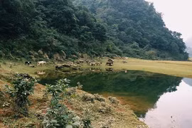 Phát hiện "Tuyệt tình cốc" mới đẹp lung linh ở Cao Bằng