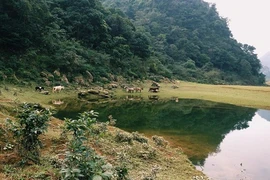 Phát hiện "Tuyệt tình cốc" mới đẹp lung linh ở Cao Bằng
