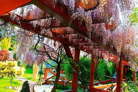 Khu vườn đẹp như thiên đường của mẹ Việt ở Séc