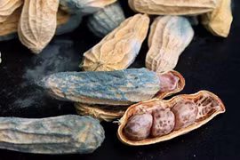 Loạt thực phẩm quen thuộc tích tụ tế bào ung thư 