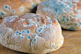 Giật mình thực phẩm “nuôi” tế bào ung thư, càng ăn càng đoản thọ