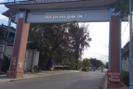 Chưa trượt gói thầu nào, Toàn Tâm Ninh Thuận có năng lực ra sao?