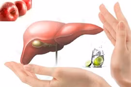 Uống thuốc gì để giải độc gan sau những ngày Tết?