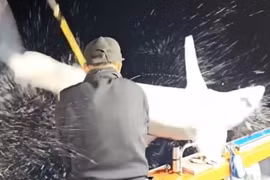 'Quái thú' lao vút lên thuyền khiến cần thủ trở tay không kịp