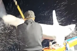 'Quái thú' lao vút lên thuyền khiến cần thủ trở tay không kịp