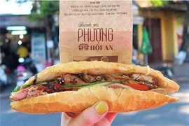 Vi khuẩn Salmonella gây ra vụ ngộ độc bánh mì Phượng nguy hiểm sao?
