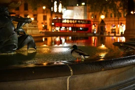 Có một London vắng lặng giữa đêm tối vì dịch COVID-19