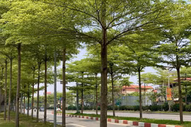 Dự báo thời tiết ngày 25/5/2023: Hà Nội sáng mưa, ngày nắng