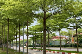 Dự báo thời tiết ngày 25/5/2023: Hà Nội sáng mưa, ngày nắng