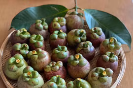 Măng cụt xanh có thể gây độc…là từ thành phần nào?