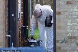 Chủ qua đời, chú chó trung thành canh giữ bên thi thể nhiều ngày