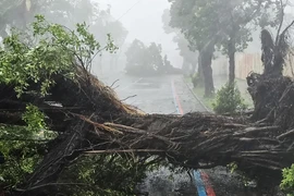 Chùm ảnh: Bão Krathon cuốn phăng mọi thứ, đường phố Đài Loan tan hoang