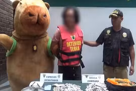 Cải trang thành chuột lang nước, cảnh sát “tóm gọn” tội phạm ma túy