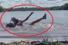 Đang bơi, người phụ nữ gặp chuyện kinh hãi