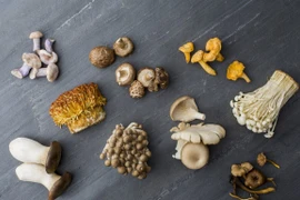 Ăn nấm mỗi ngày giảm nguy cơ mắc bệnh ung thư