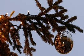 Cụ bà tử vong vì cây thông Noel đổ vào người