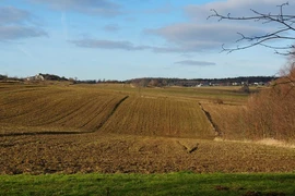 Đang làm việc trên cánh đồng, nông dân phát hiện “kho báu” cực hiếm