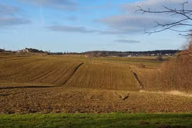 Đang làm việc trên cánh đồng, nông dân phát hiện “kho báu” cực hiếm