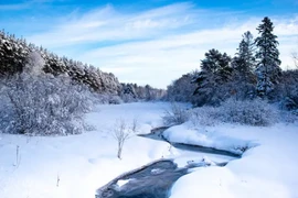 Giật mình mức lạnh kỷ lục tại các bang nước Mỹ