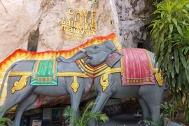 Những khoảnh khắc 'lừa thị giác' đáng kinh ngạc