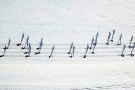 Loạt ảnh “đánh lừa thị giác” khiến bạn không tin vào mắt mình