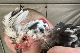 Hài hước những khoảnh khắc 'gây lú' nhất trong cuộc sống