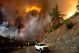 Tổng thống Trump tuyên bố tình trạng thảm họa về cháy rừng ở California, 