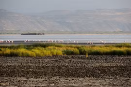 Cảnh tượng sửng sốt ở “"hồ nước chết chóc nhất hành tinh"