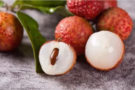 Vải thiều Thanh Hà, ngoài đặc sản còn là vị thuốc chữa bệnh