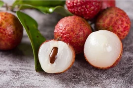 Vải thiều Thanh Hà, ngoài đặc sản còn là vị thuốc chữa bệnh