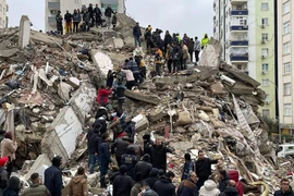 Hơn 41.000 người thiệt mạng do động đất ở Thổ Nhĩ Kỳ, Syria